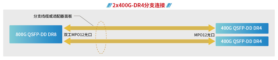 800g技术重新定义网络格局